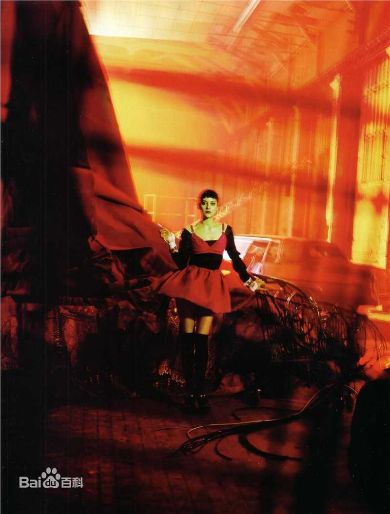 精选玛丽昂·歌迪亚(Marion Cotillard)精彩图册