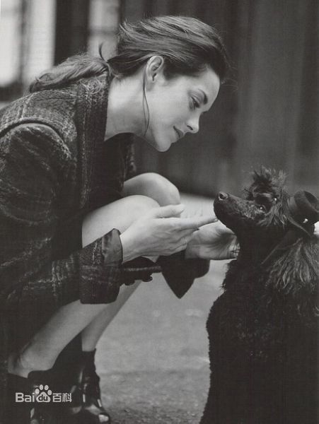 最全玛丽昂·歌迪亚(Marion Cotillard)精彩图册