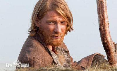 多姆纳尔·格里森(Domhnall Gleeson)最优质剧照