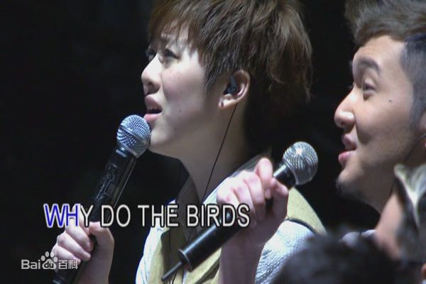 岑宁儿(Yoyo Sham)和音图册壁纸壁纸