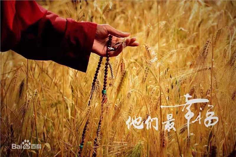 陈雅婷(JoJo)前后照片