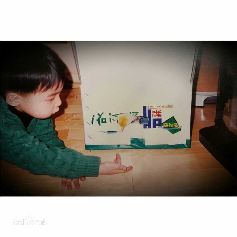 金相佑(Roy Kim，Kim Sang Woo（英）； （韩）)小时候图片图集