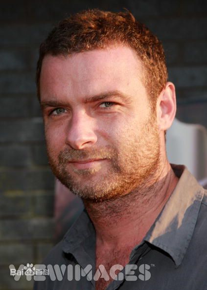 列维·施瑞博尔(Liev Schreiber)精彩图册