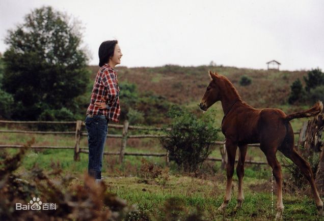 刘五性(Oh-seong Yu)《方糖》剧照
