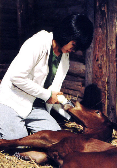 刘五性(Oh-seong Yu)《方糖》剧照