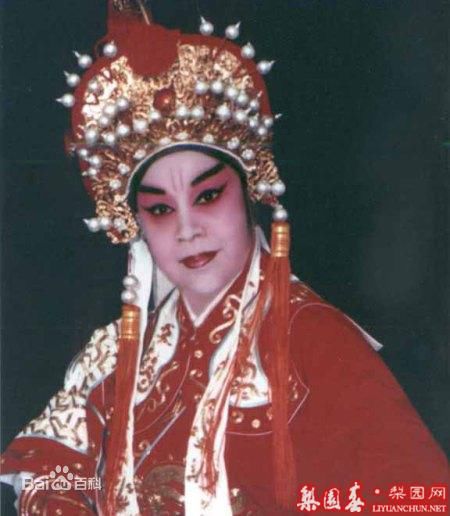 《王素君》封面图片