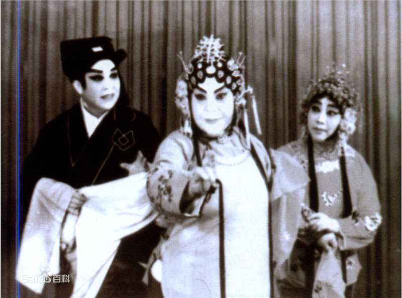 《王素君》封面图片