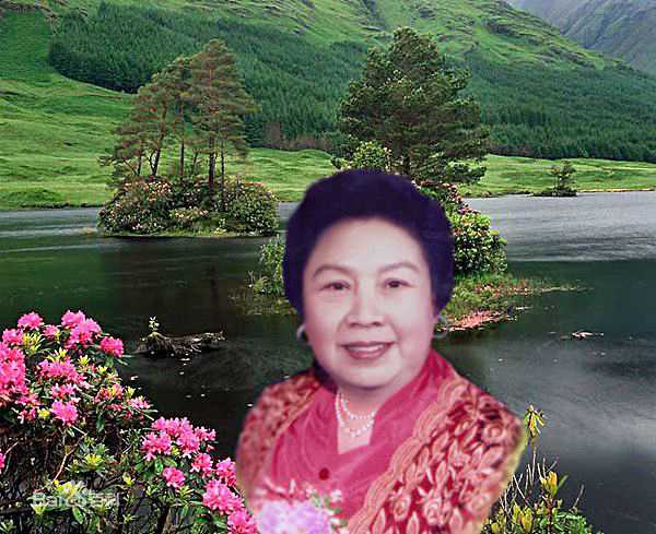 《王素君》封面图片