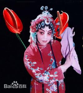 《王素君》封面图片