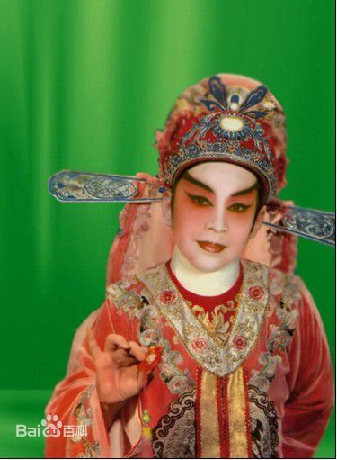 《王素君》封面图片