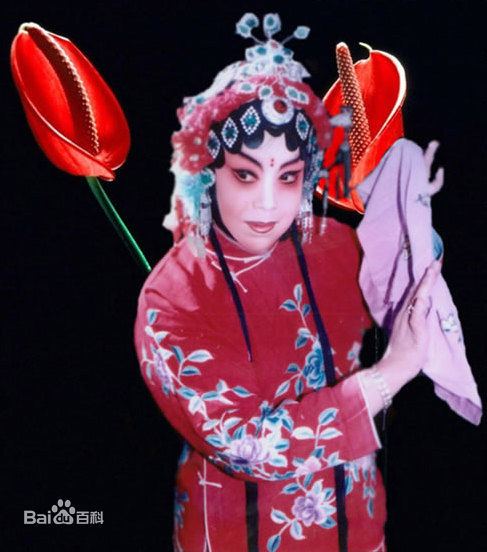 《王素君》封面图片