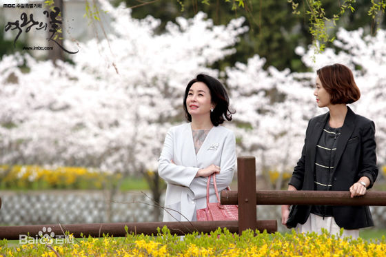 金美淑(，Kim Mi Sook)《女王之花》最全剧照