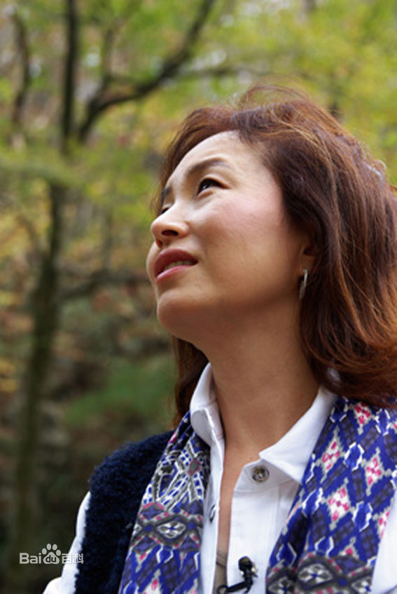 最新金美淑(，Kim Mi Sook)在KBS《人在旅途》中的图集