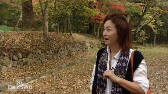 最新金美淑(，Kim Mi Sook)在KBS《人在旅途》中的图集
