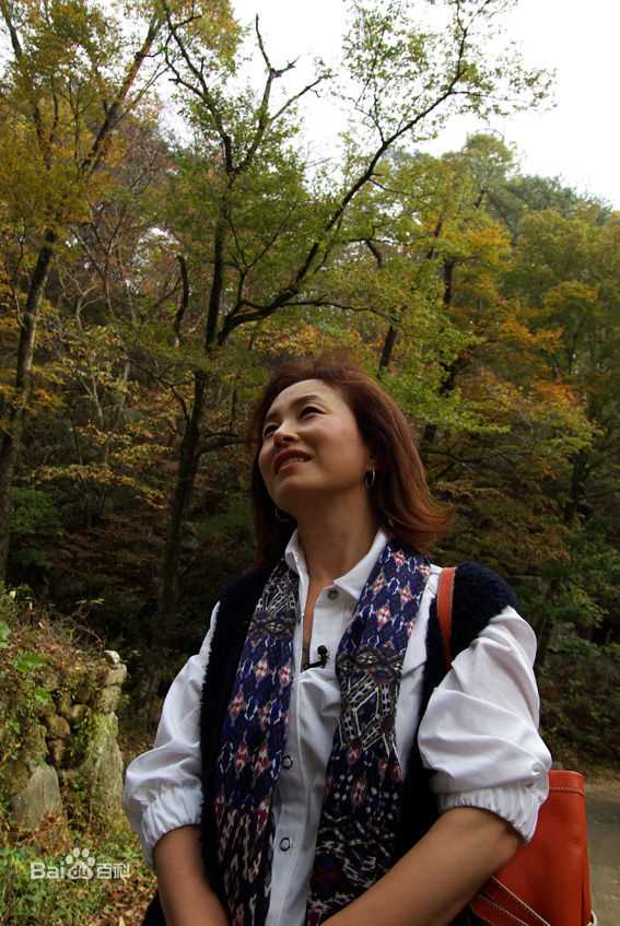 最新金美淑(，Kim Mi Sook)在KBS《人在旅途》中的图集