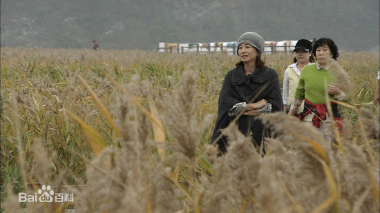 最新金美淑(，Kim Mi Sook)在KBS《人在旅途》中的图集