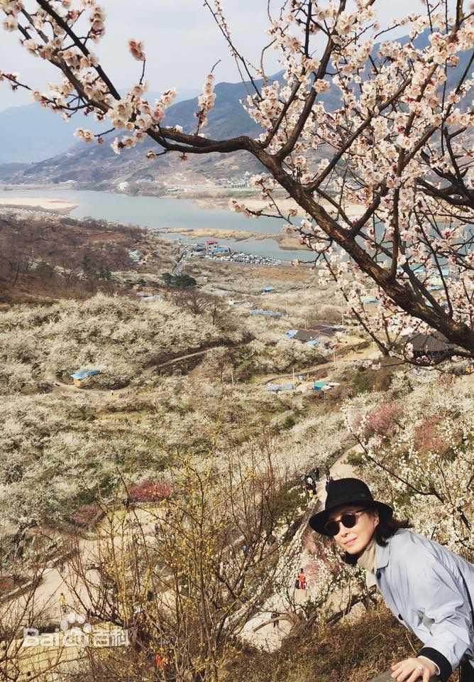 金美淑(，Kim Mi Sook)生活照壁纸壁纸