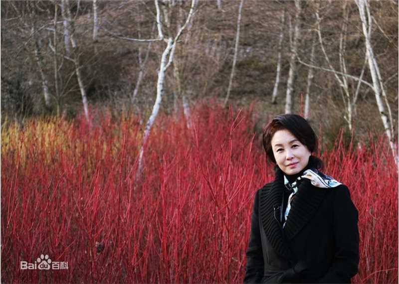 金美淑(，Kim Mi Sook)参加活动壁纸壁纸