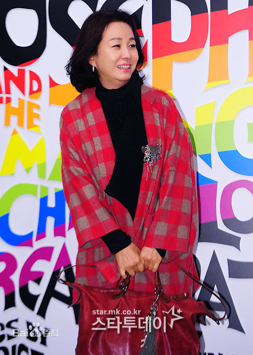 金美淑(，Kim Mi Sook)参加活动壁纸壁纸