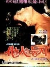 最全金美淑(，Kim Mi Sook)壁纸