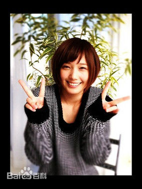 精选本田翼(Honda Tsubasa)