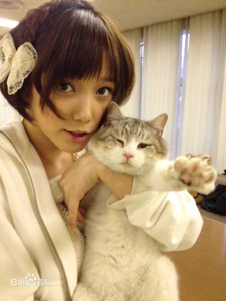 本田翼(Honda Tsubasa)精彩图册