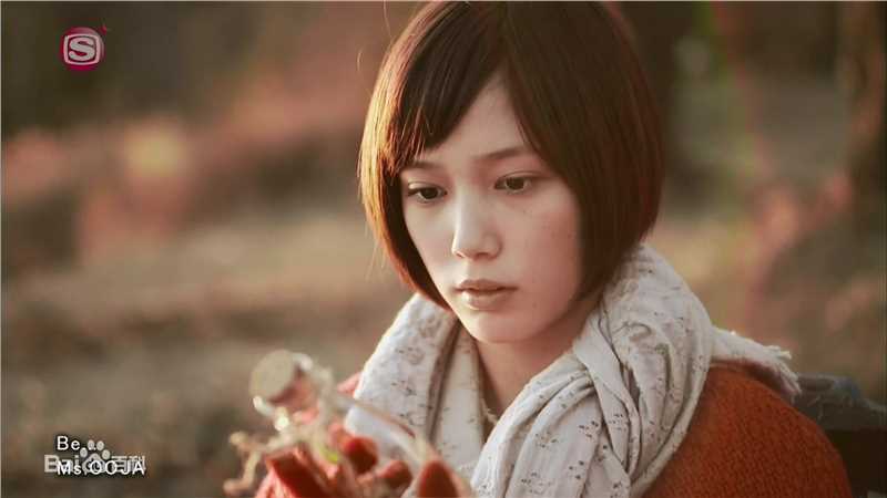 本田翼(Honda Tsubasa)精彩图册