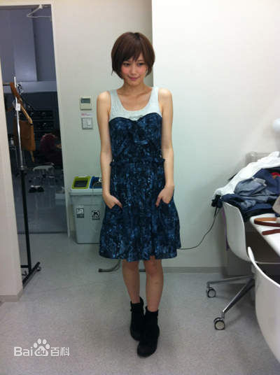 本田翼(Honda Tsubasa)精彩图册