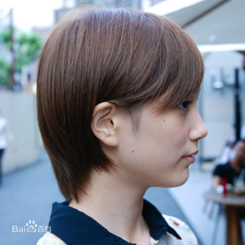 本田翼(Honda Tsubasa)精彩图册