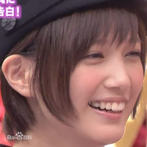 本田翼(Honda Tsubasa)精彩图册