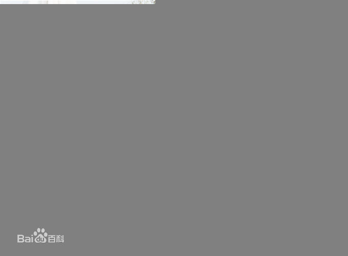 小林聪美精彩图册