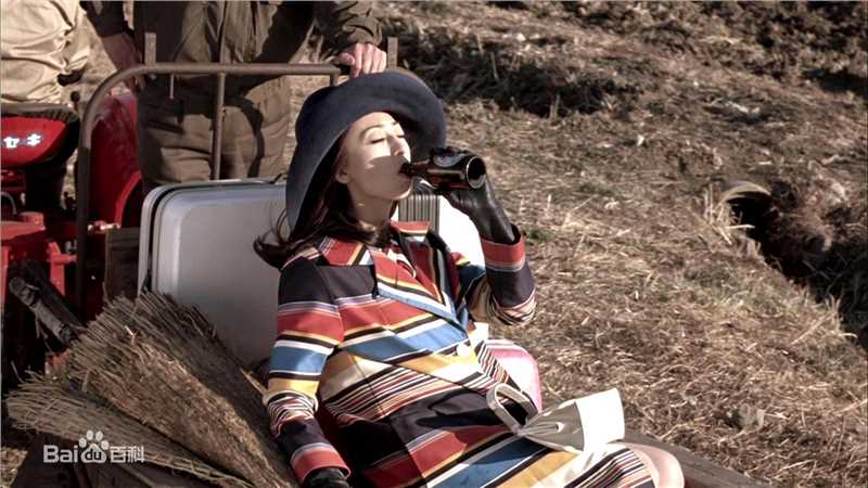 松雪泰子(Yasuko Matsuyuki) 电影图册图片图集