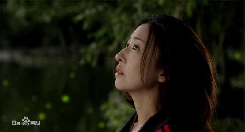 松雪泰子(Yasuko Matsuyuki) 电影图册图片图集