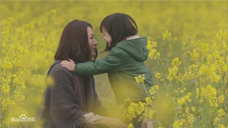 松雪泰子(Yasuko Matsuyuki) 电视剧图册生活照相册