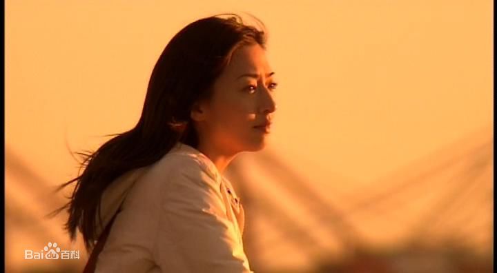 松雪泰子(Yasuko Matsuyuki) 电视剧图册生活照相册