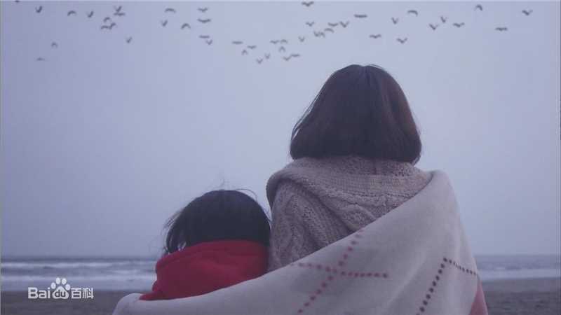 松雪泰子(Yasuko Matsuyuki) 电视剧图册生活照相册