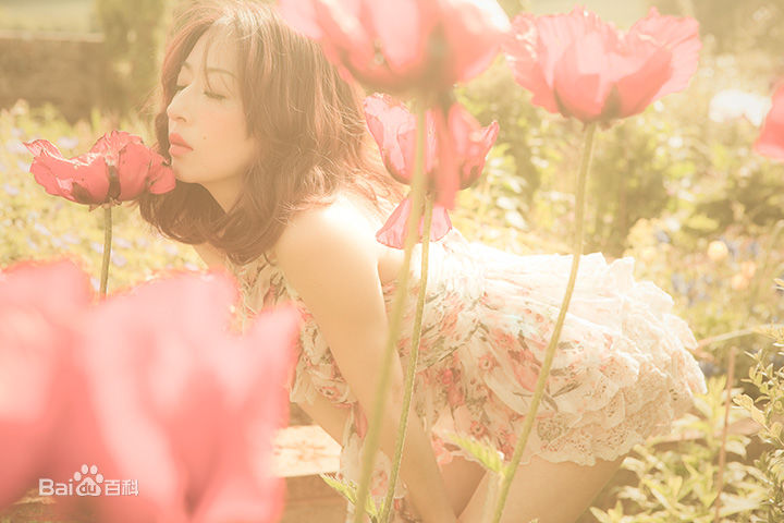 松雪泰子(Yasuko Matsuyuki)最全相册