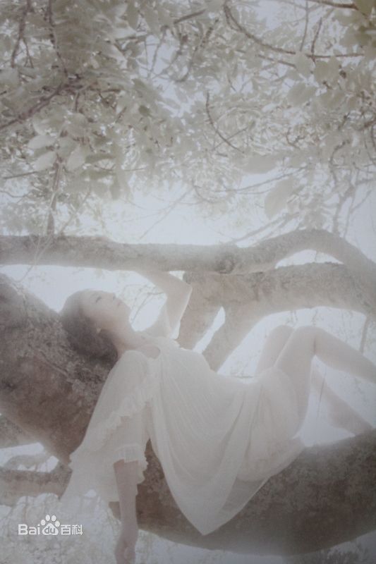 高清松雪泰子(Yasuko Matsuyuki)精彩图册