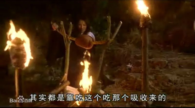 杜可风(Christopher Doyle)春田花花同学会最新剧照