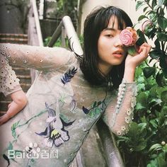 小松菜奈(こまつ なな)小松 菜奈　图集壁纸壁纸