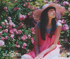 小松菜奈(こまつ なな)小松 菜奈　图集壁纸壁纸