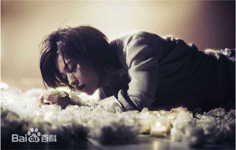 佐藤健(さとう たける)最全-相册