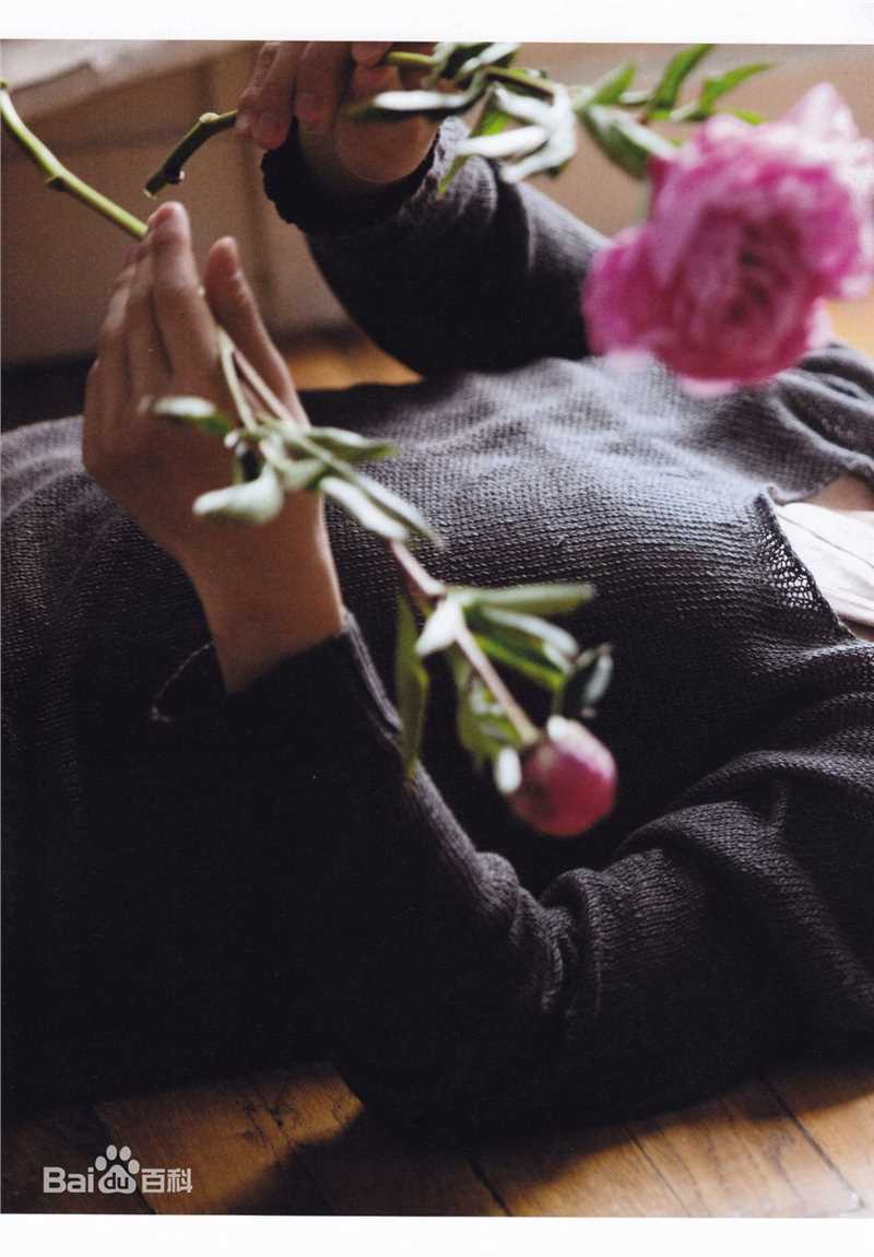 精选佐藤健(さとう たける)精彩图册