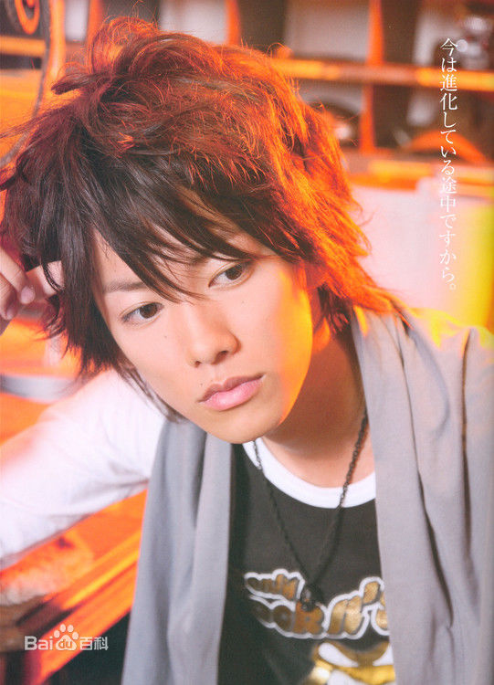 最全佐藤健(さとう たける)精彩图册