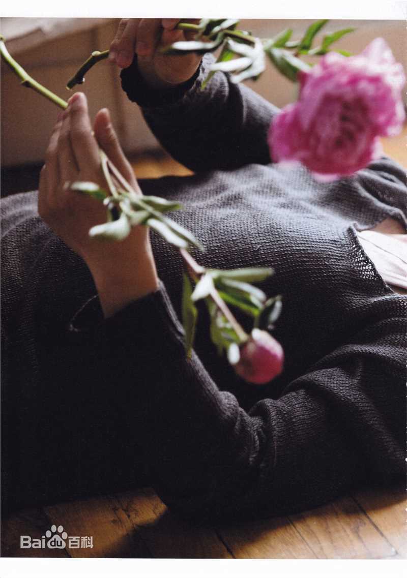 最全佐藤健(さとう たける)精彩图册