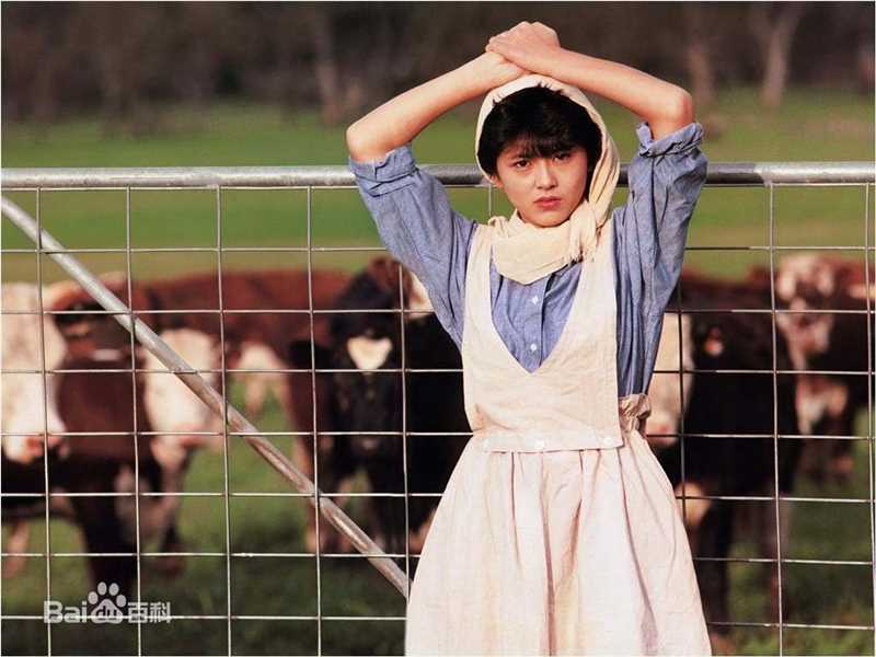 小泉今日子(こいずみきょうこ、コイズミキョウコ、Koizumi Kyoko)前后照片