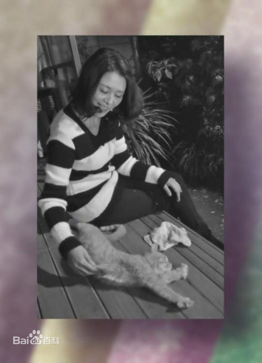 高清小泉今日子(こいずみきょうこ、コイズミキョウコ、Koizumi Kyoko)精彩图册