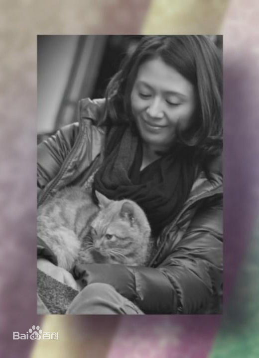 高清小泉今日子(こいずみきょうこ、コイズミキョウコ、Koizumi Kyoko)精彩图册