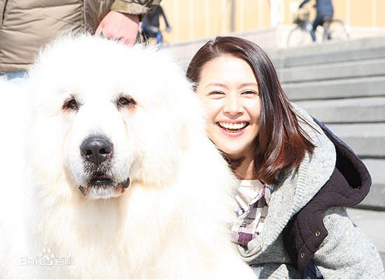 高清小泉今日子(こいずみきょうこ、コイズミキョウコ、Koizumi Kyoko)精彩图册