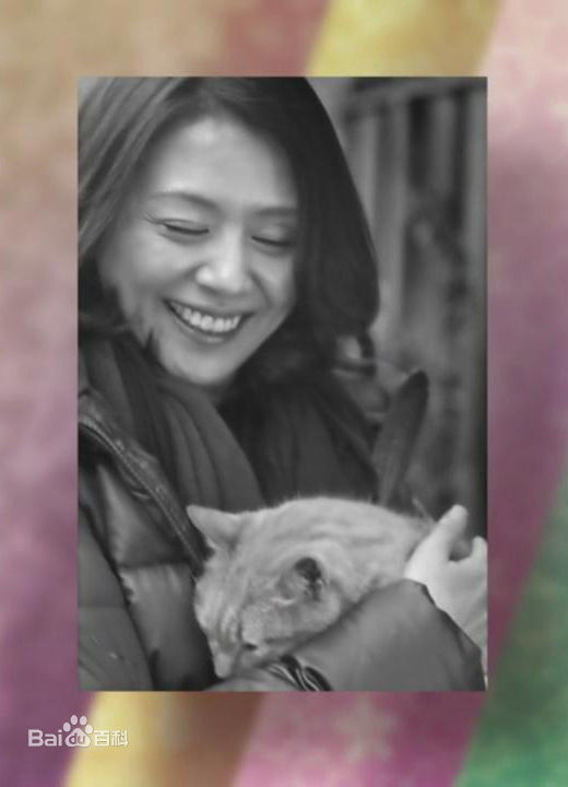 高清小泉今日子(こいずみきょうこ、コイズミキョウコ、Koizumi Kyoko)精彩图册